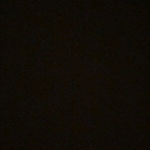 Meet your Posher, Abbie